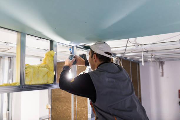 Best Insulation Installation Services in Rock Rapids, IA