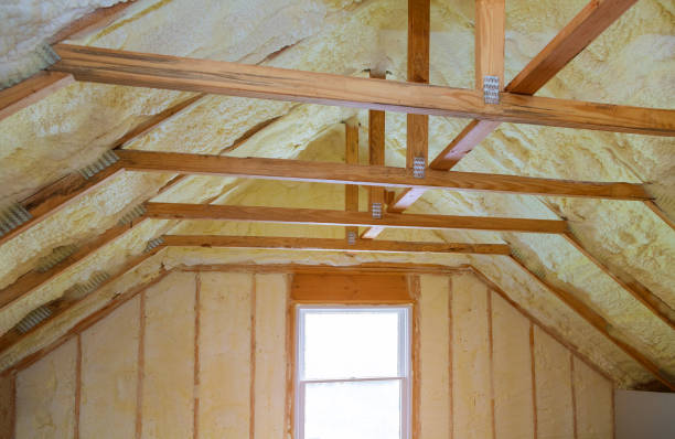 Best Insulation Installation Services in Rock Rapids, IA