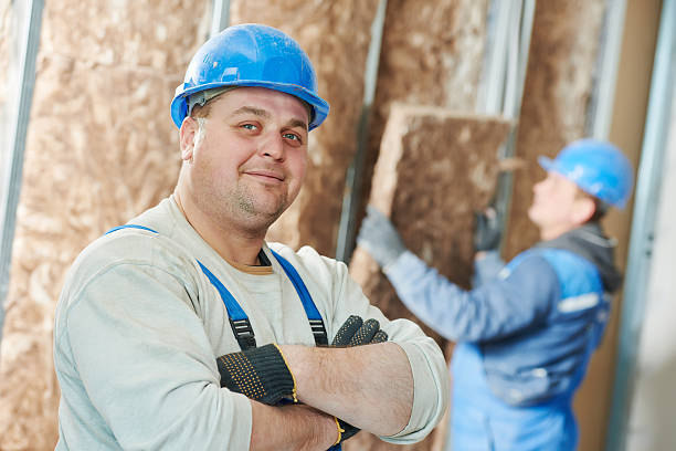 Best Insulation Maintenance and Repair in Rock Rapids, IA