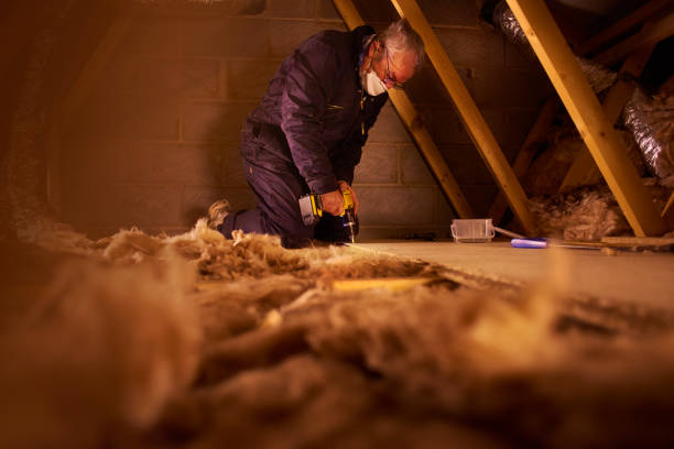 Best Commercial Insulation in Rock Rapids, IA