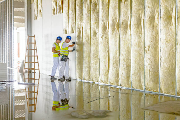 Best Types of Insulation in Rock Rapids, IA